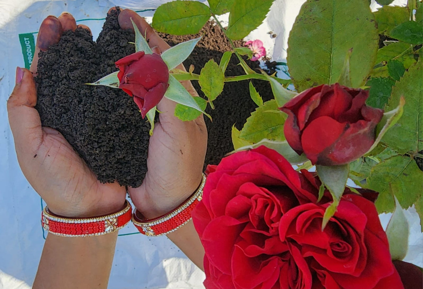 SwarnBharat Organics - Vermicompost For Plants 2Kg - Organic Fertilizer & Manure