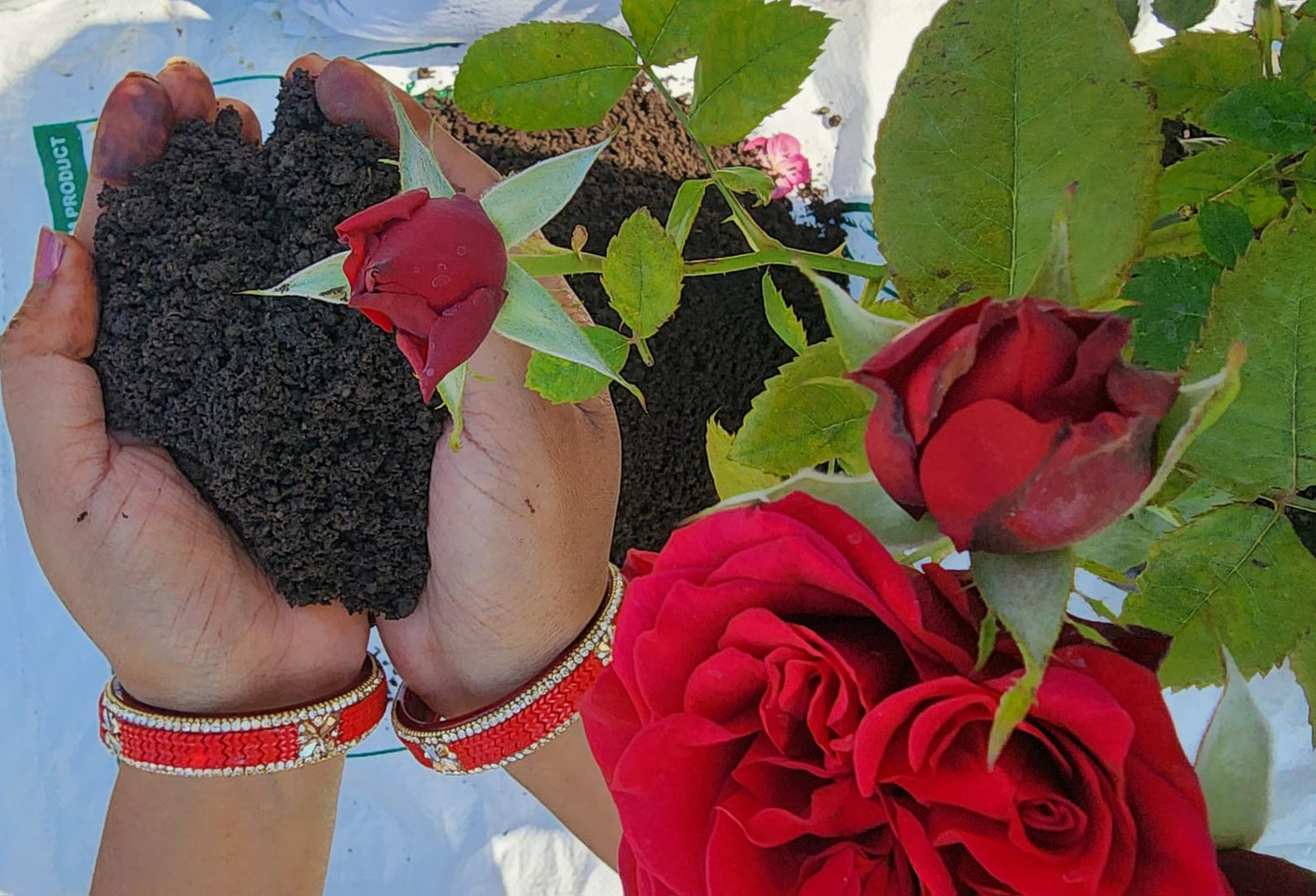 SwarnBharat Organics - Vermicompost For Plants 2Kg - Organic Fertilizer & Manure