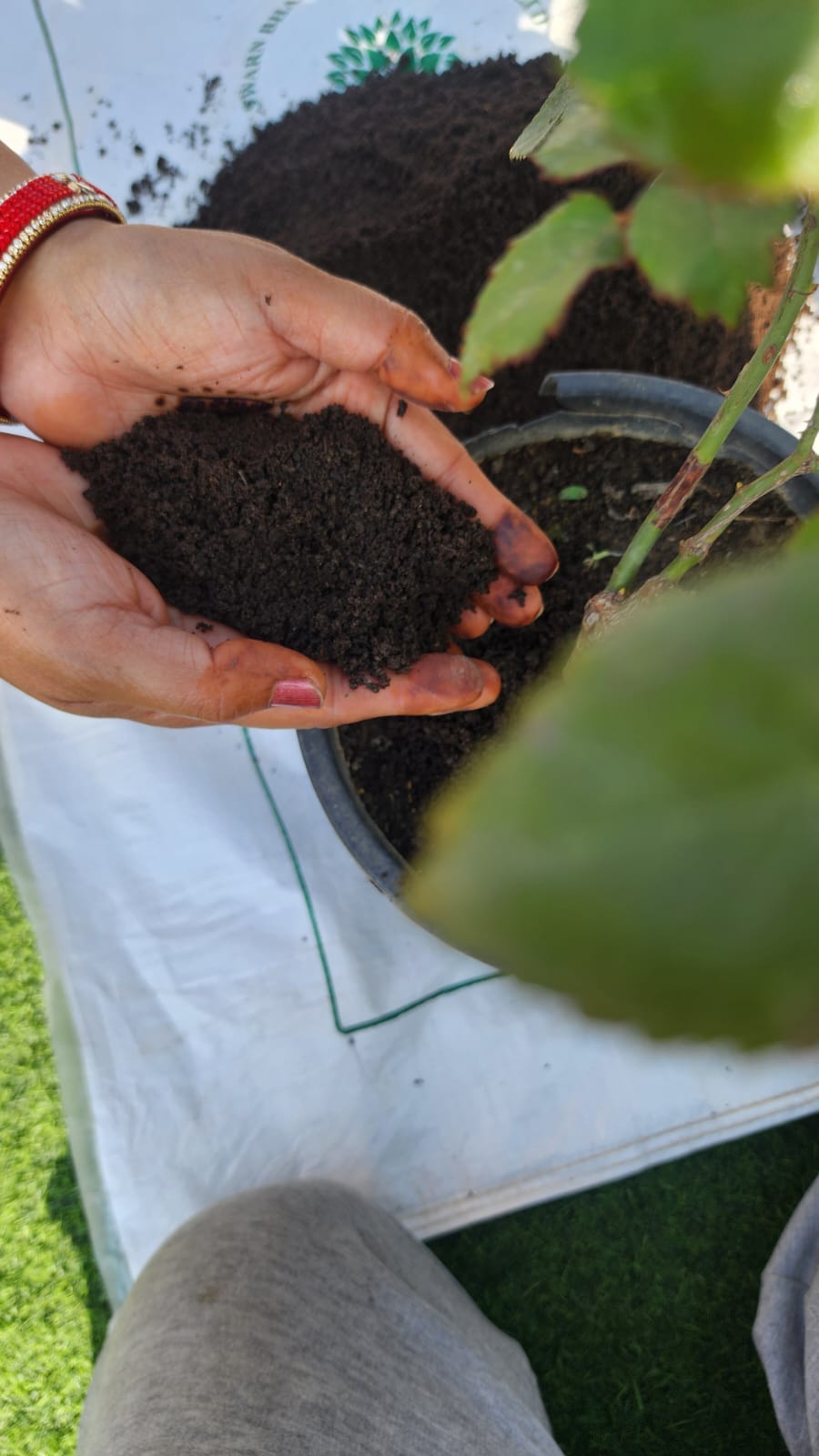 SwarnBharat Organics - Vermicompost For Plants 2Kg - Organic Fertilizer & Manure