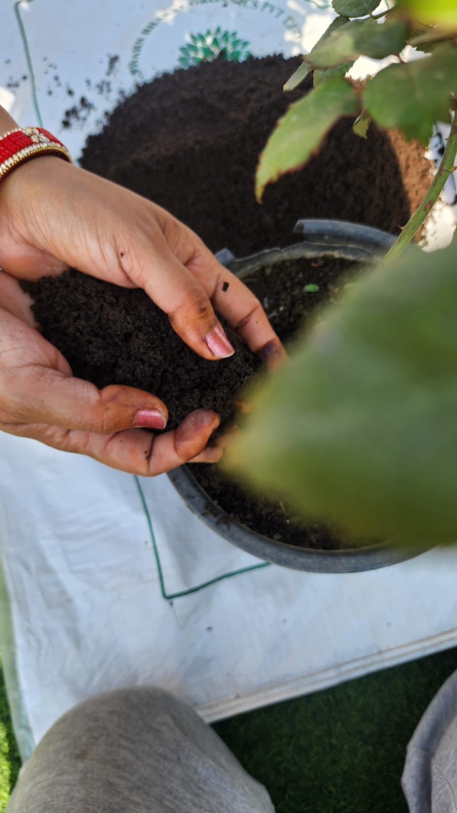 SwarnBharat Organics - Vermicompost For Plants 2Kg - Organic Fertilizer & Manure