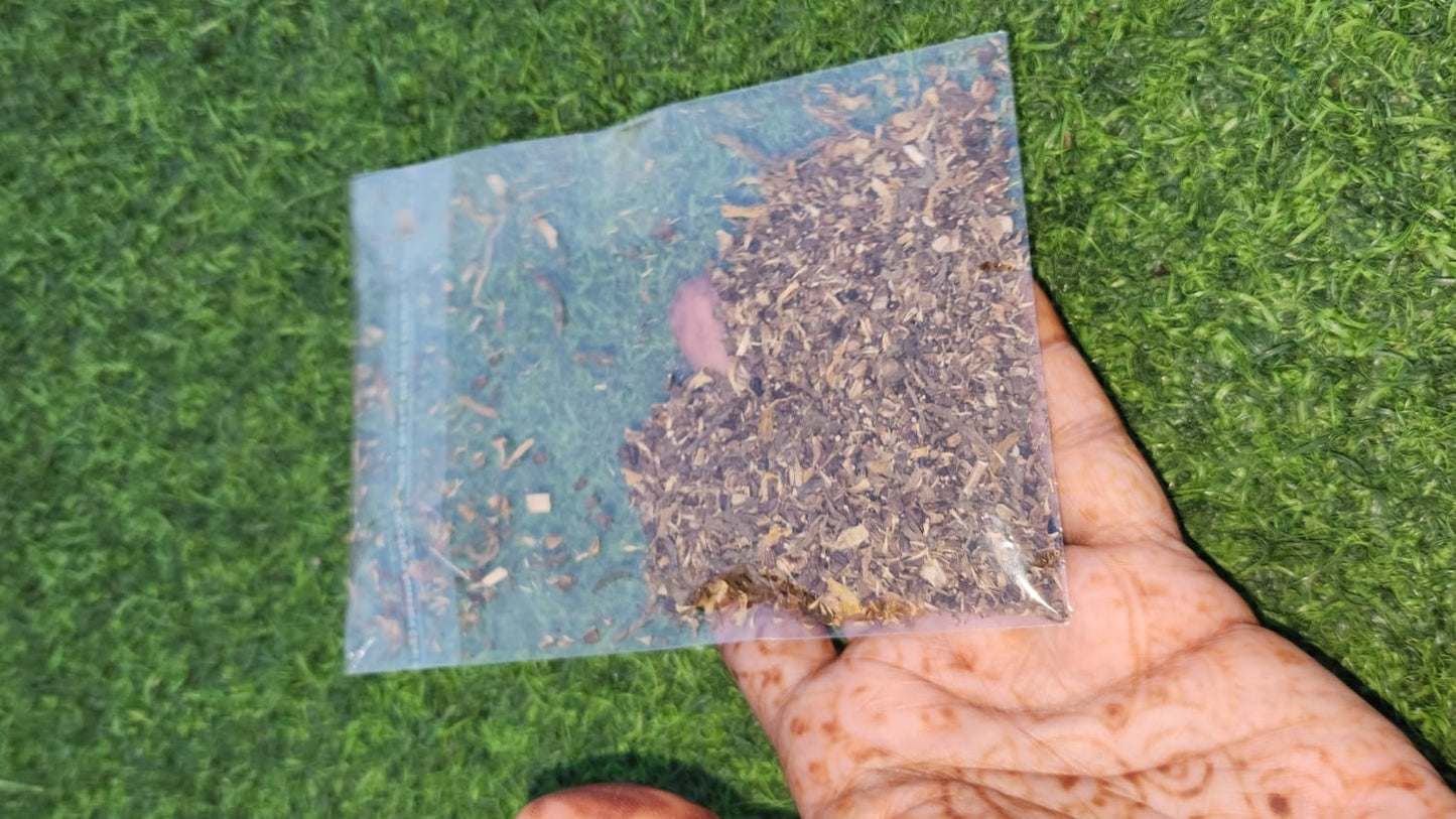 Beautiful Daisy Flowers Seed